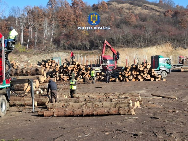 Bărbați reținuți de polițiștii din Geoagiu